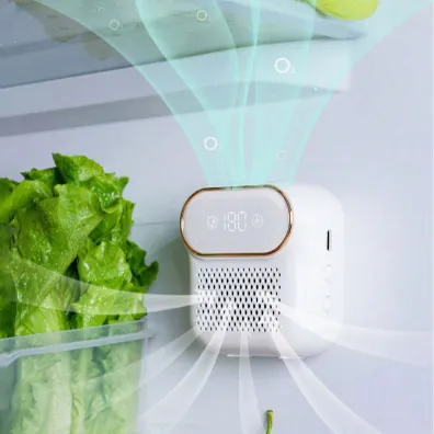 FridgeSan Pro Refrigerator Deodorizer and Sterilizer 1 FridgeSan Pro refrigerator deodorizer and sterilizer keeping vegetables fresh and eliminating odors inside fridge