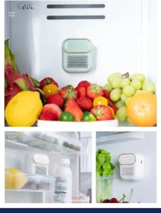 FridgeSan Pro Refrigerator Deodorizer and Sterilizer 15 FridgeSan Pro refrigerator deodorizer and sterilizer keeping vegetables fresh and eliminating odors inside fridge