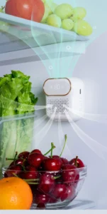 FridgeSan Pro Refrigerator Deodorizer and Sterilizer 7 FridgeSan Pro refrigerator deodorizer and sterilizer keeping vegetables fresh and eliminating odors inside fridge