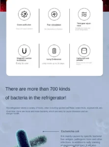 FridgeSan Pro Refrigerator Deodorizer and Sterilizer 11 FridgeSan Pro refrigerator deodorizer and sterilizer keeping vegetables fresh and eliminating odors inside fridge